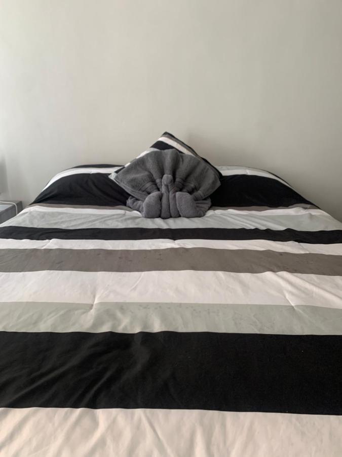 Hermoso Departamento En Coyoacan Мехико Экстерьер фото